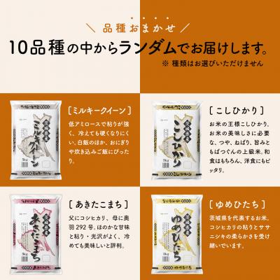 ふるさと納税 境町 【定期便】お米2種食べ比べ 10kg×3回 精米 白米 (2月初回発送) 令和7年産