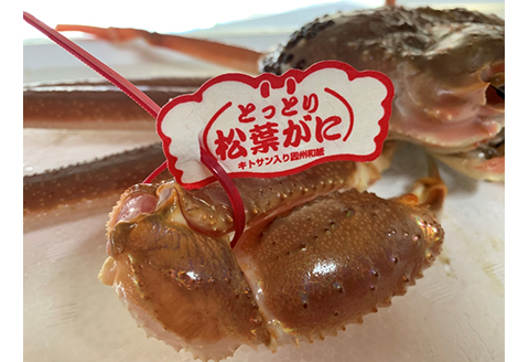 【22027】鳥取網代港【ブランドタグ付】浜茹で！極上松葉ガニ（中）700g【さかなや新鮮組】
