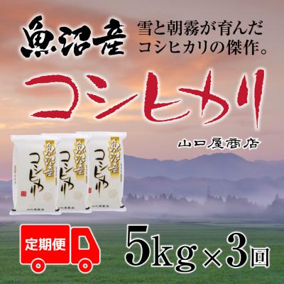 ふるさと納税 十日町市 【毎月定期便】【厳選☆川西地区育ち】　魚沼産コシヒカリ　5kg　全3回