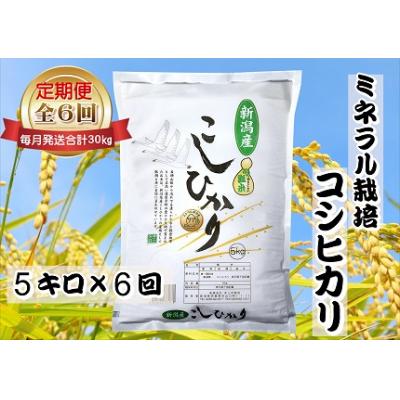 ふるさと納税 阿賀野市 【令和7年産】【6回定期便 】ミネラル栽培こしひかり 5kg×6回 計30kg 井上米穀店