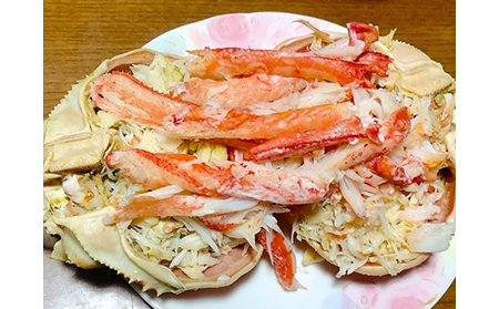 【22023】鳥取網代港【ブランドタグ付】浜茹で！極上松葉ガニ（大）800g※お届けは2026年11月中旬～【さかなや新鮮組】