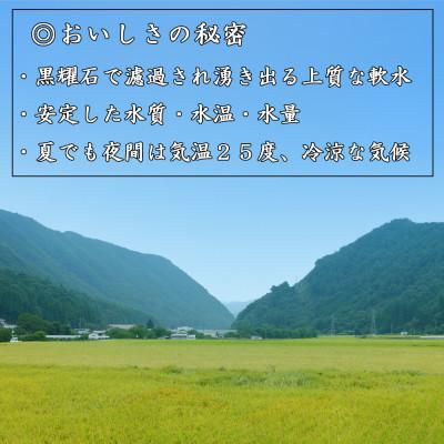 ふるさと納税 長和町 【毎月定期便】精米まるごと田んぼ1区画分!コシヒカリ360kg保障　30kg/月全12回 |  | 01