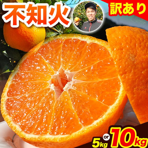 【ふるさと納税】先行予約 不知火 熊本のブランド果実 不知火 訳あり 約5kg (20玉前後) または 約10kg (40玉前後) 未来来農園 《2026年4月上旬-4月下旬頃出荷》熊本県 葦北郡 津奈木町 みかん 5kg 10kg 訳あり デコポン でこぽん フルーツ 柑橘 しらぬい