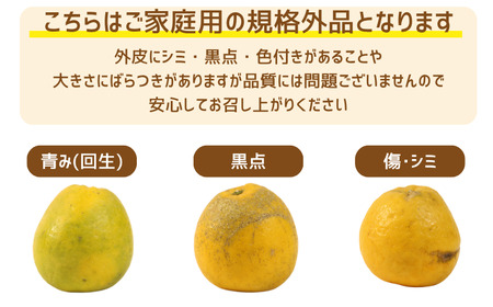 訳あり FN-SupportProject 増量 年末企画 愛南ゴールド ( 河内晩柑 ) 8kg 9000円  かわちばんかん ミカン わけあり 家庭用 愛媛県 愛南町 愛なんよ