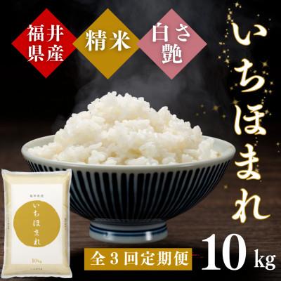 ふるさと納税 小浜市 【毎月定期便】いちほまれ白米10kg全3回