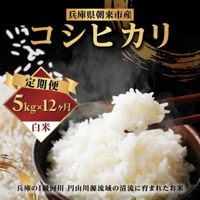 ふるさと納税 朝来市 【発送月固定定期便】兵庫県朝来市産コシヒカリ(白米)5kg 全12回