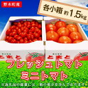 【ふるさと納税】ミニトマト トマト 甘い 食べ比べ T04 トマト 小箱 + ミニトマト 小箱 約1.5kg × 2箱 食べ比べ 栃木県 野木町産