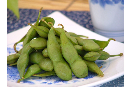 《先行予約 2024年度発送》 鶴岡白山産 だだちゃ豆(早生) 1kg FSY-0142