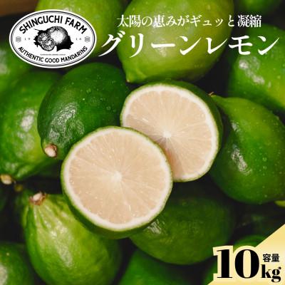ふるさと納税 八幡浜市 【皮が薄くて種がない】愛媛グリーンレモン 10kg 愛媛県産【H70-52】