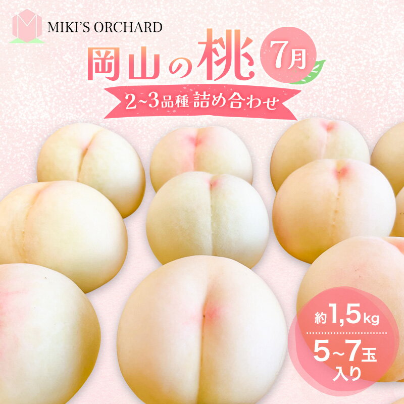 【ふるさと納税】桃 【訳あり 2級品】 2025年 先行予約 岡山の桃 7月の桃 2～3品種 詰め合わせ セット 5～7玉入り 約1.5kg MIKI’S ORCHARD もも モモ 果物 岡山 家庭用　お届け：2025年7月1日～2025年7月31日