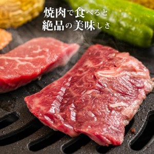 【ふるさと納税】焼肉セット2品_M04-0113