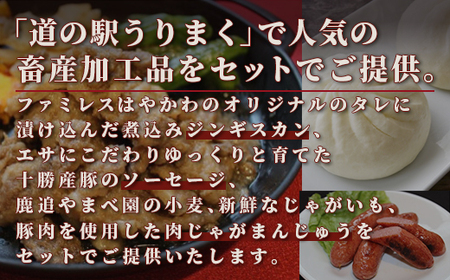 畜産加工品セット SKAC001 【 ふるさと納税 人気 おすすめ ランキング 畜産加工品 畜産加工 加工品 肉 加工肉 ソーセージ ジンギスカン 肉まん 北海道 鹿追町 送料無料 】 SKAC001