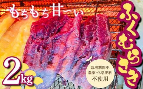 令和6年産先行予約 栽培期間中、農薬・化学肥料不使用 もちもち甘～い『ふくむらさき』2kg さつまいも サツマイモ F3S-1942