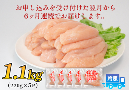 鶏肉 ささみ 1.1kg 定期便 6回 （1.1kg×6回） 鶏ささみ ササミ チキン 若鶏 ブランド鶏 最優秀賞 天皇杯 受賞 小分け 冷凍 骨なし お弁当 ササミフライ 梅しそ 筋トレ 高たんぱく