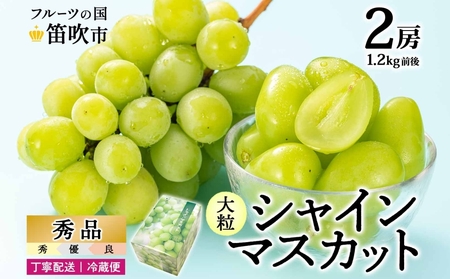 【2026年発送★先行予約】シャインマスカット 2房 1.2kg前後※クール便配送 177-009-26y