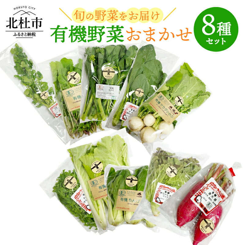 【ふるさと納税】 有機野菜 おまかせ 8種 セット 新鮮 九州屋ファーム 明野 山梨県 北杜市 仕送りギフト