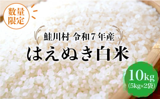 ＜令和7年産 鮭川村 はえぬき＞【白米】 10kg （5kg×2袋）＜配送時期指定可＞ ◇数量限定となります◇