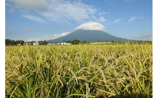 【3回定期便】【有機肥料使用／無農薬・無化学肥料】 令和5年度米 アイガモ農法ゆめぴりか 【精米】正味10kg 【31126】