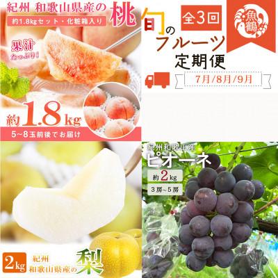 ふるさと納税 九度山町 【発送月固定定期便】紀州和歌山産旬のフルーツセット(桃・梨・ピオーネ)全3回