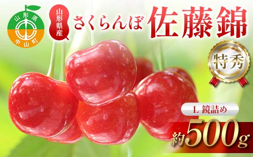 《2026年発送先行予約》さくらんぼ佐藤錦 約500g L 特秀 鏡詰め 果物 くだもの フルーツ 夏果物 サクランボ F4A-0949