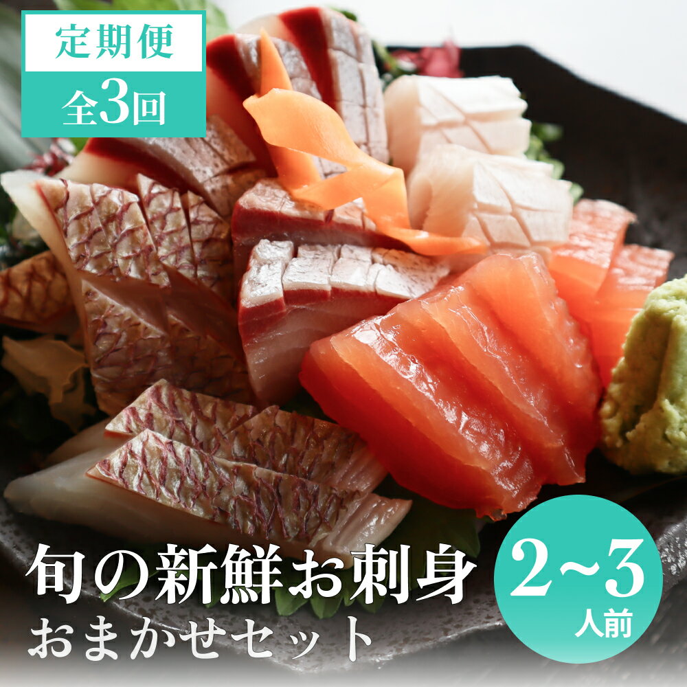 【ふるさと納税】【3回 定期便】 氷見漁港朝どれ！旬の新鮮おまかせセット 2～3人前（3月・6月・11月） 富山県 氷見市 鮮魚 詰合せ