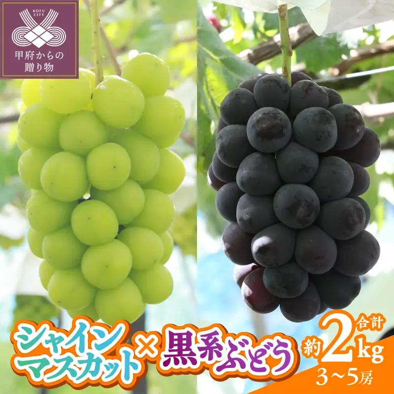 〈2026年度配送分〉甲府市産　シャインマスカット×黒系ぶどう　約2.0kg（3～5房）