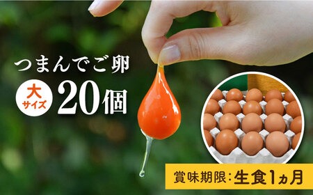 【プリップリな 卵黄 ！】 つまんでご卵 20個 セット 卵 たまご 糸島 / 緑の農園 [AGA008] たまご 卵 鶏卵 玉子 平飼い たまごかけご飯 卵かけご飯 卵焼き 平飼い卵