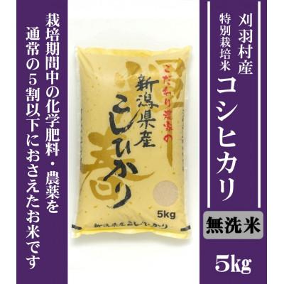 ふるさと納税 刈羽村 【新潟特別栽培米】【無洗米】刈羽村産コシヒカリ 5kg