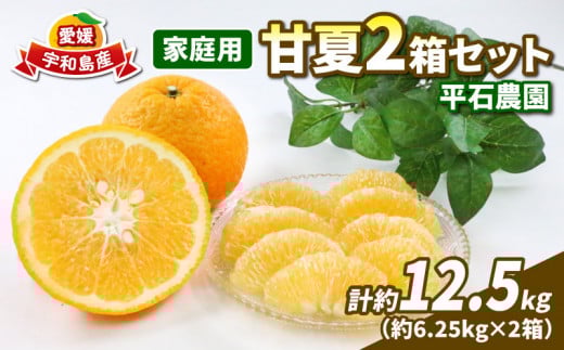 愛媛みかん 甘夏 6.25kg 2箱 計12.5kg 家庭用 平石農園 先行予約 3月以降発送 mikan 愛媛ミカン 愛媛蜜柑 甘夏みかん あまなつ 果物 くだもの 爽やか フルーツ さっぱり 柑橘 初夏 の みかん 蜜柑 アマナツ 農家直送 産地直送 数量限定 国産 愛媛 愛媛県産 宇和島 B010-017004