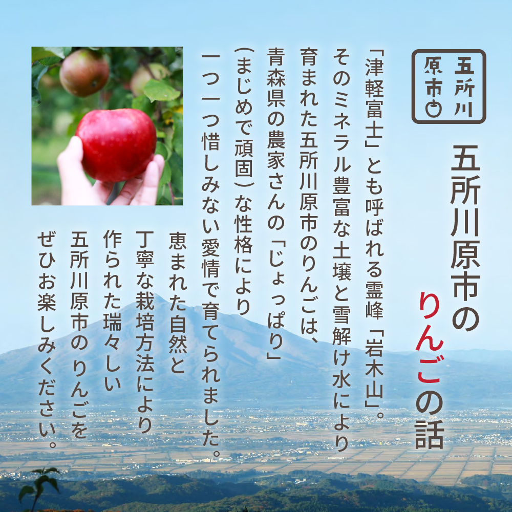 【2025年4月中旬発送】 特撰 丸かじり青森りんご 3kg程度 品種おまかせ1種（スマートフレッシュ貯蔵またはCA貯蔵）