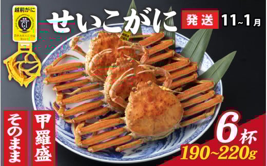 【先行予約】選べる！美味しさ直送【成前特選】 せいこがに（190g～220g）×6杯 甲羅盛【11月～1月発送】 [J-028054_07] / ズワイガニ 甲羅盛り 越前がに かに 蟹 楚蟹 セイコ蟹 越前かに 香箱がに こうばこがに 親ガニ こっぺがに せこがに 甲羅蟹 甲羅がに 香箱蟹 メス ずわいがに カニ セイコガニ