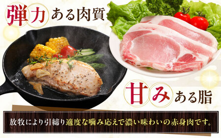 放牧豚ロース 厚切り 計1200g（200g×6）《厚真町》　【ファーマーズファクトリー株式会社】[AXBA141]