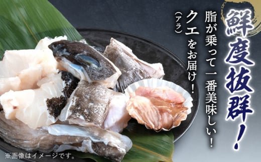 使い道いろいろ！ 活〆 クエ （ アラ ） 切身大 《 対馬市 》 【 対馬逸品屋 】 海鮮 高級 鍋 おもてなし [WAF013]冷凍 新鮮 くえ 鍋セット 海の幸 クエ 下処理 冷凍 新鮮 小分け