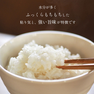 令和7年度 はが野米 こしひかり 5kg 