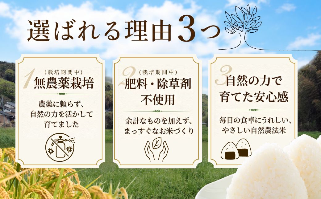 【大分県産】 自然農法 玄米 5kg | お米 豊後高田市