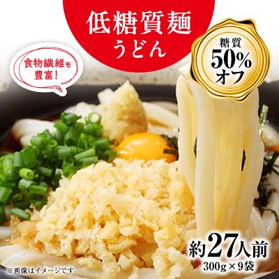 ふるさと納税 養老町 【糖質オフ 50%】低糖質麺 うどん 2700g(約27人前)