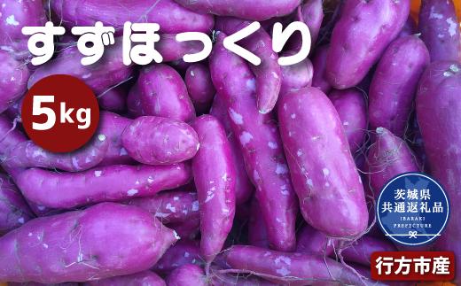 さつまいも すずほっくり 5kg 2026年11月～発送　なめらか食感 甘い 焼き芋 ねっとり しっとり 甘みが強い スイーツ 料理 てんぷら スイートポテト お菓子作り 茨城県共通返礼品・行方市産