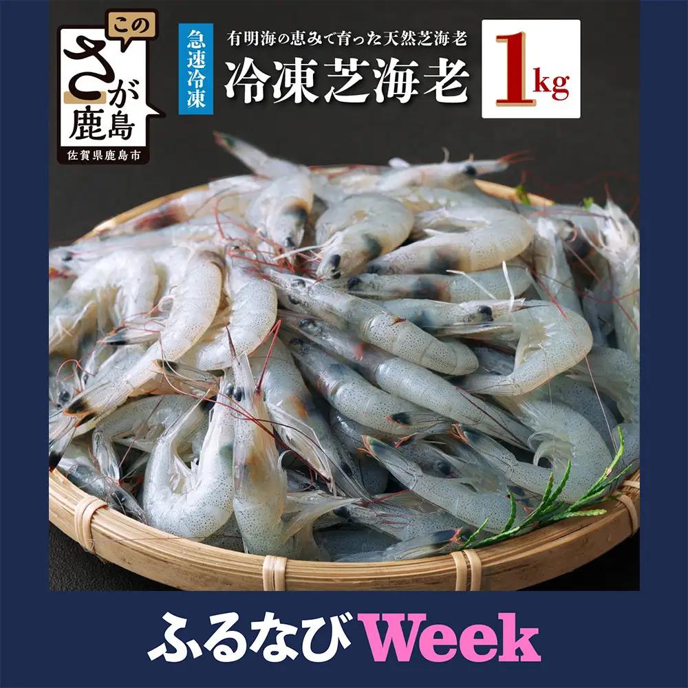 【ふるなびWEEK対象】 冷凍芝エビ（真エビ）１kg（500g×2パック）えび 海老 有明海  AA-9