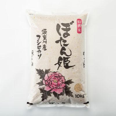 ふるさと納税 須賀川市 【地元ブランド】令和6年産ぼたん姫玄米　20kg |  | 03