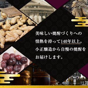 No.053 小正醸造自信の1升瓶6本セット(1800ml×6本)【小正醸造】