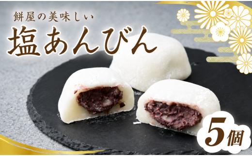 塩大福 塩あんびん 5個 100年の歴史を誇る和菓子屋 | 和菓子 わがし 詰め合わせ セット 老舗 塩大福 塩あんびん 石臼 つきたて 餅 国産小豆 厳選素材 職人 昔ながら 製法 こだわり 甘くない 甘さ控えめ あっさり 塩味 ふんわり もっちり あんこ 風味 素朴 個包装 人気 名物 お取り寄せ 栄屋菓子舗 埼玉県 桶川市
