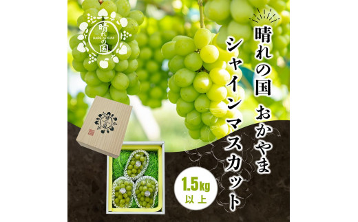 【先行予約　2025年9月上旬発送〜】岡山県産シャインマスカット 1.5kg（2〜3房）