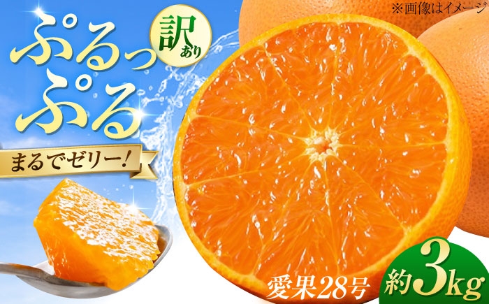 
                  みかん 訳あり 愛果28号 約3kg サイズ不揃い【11月下旬から12月下旬まで順次発送】 / フルーツ 果物 蜜柑 ミカン オレンジ 訳あり 訳アリ 小玉 甘い 先行予約 3kg 愛媛 愛果28号 柑橘の貴婦人 甘み 高糖度 酸味少ない 旬 お取り寄せ 贈答 フルーツギフト 柑橘詰め合わせ プルプル セリー食感 人気 おすすめ / 愛媛県砥部町/株式会社フルーツファーム健治郎 [BJBE001]
                