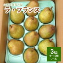 【ふるさと納税】 西洋梨 ( ラ・フランス ) 3kg 秀品 9～12個 3L～L サイズ 果物 フルーツ 洋梨 お取り寄せ 産地直送 送料無料 秋 旬 山形 上山市 0007-2403