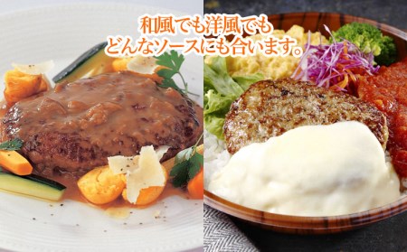鉄板焼！JGハンバーグヴィアンド 2.6kg(130g×20個) FZ22-451
