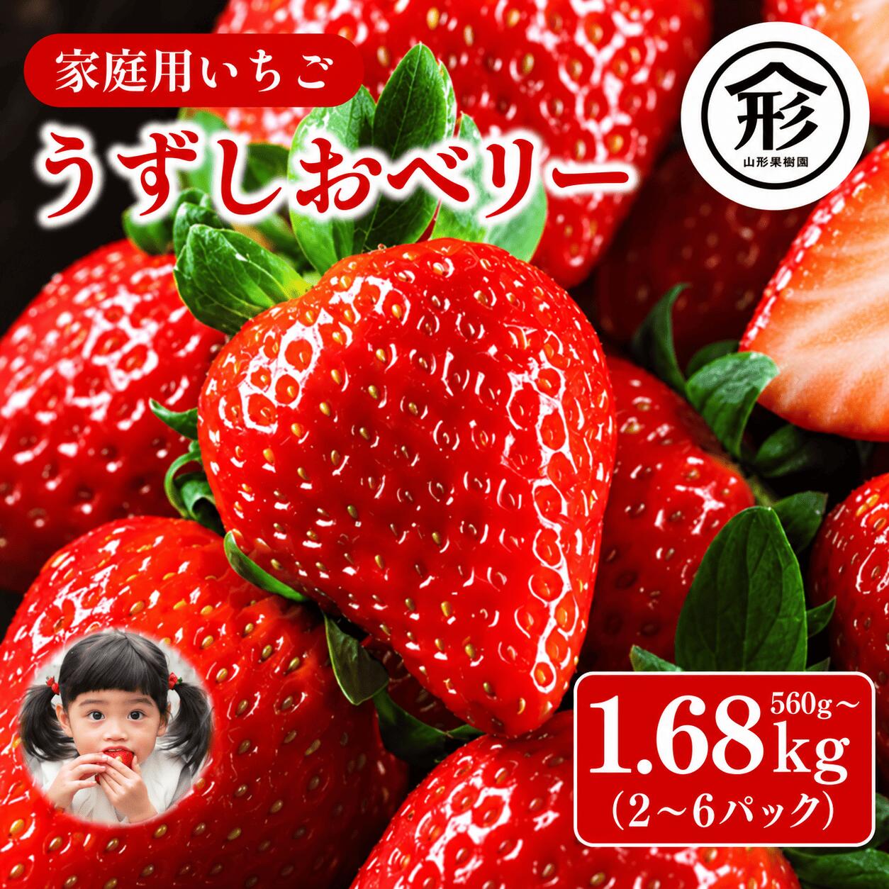 【ふるさと納税】 いちご 苺 2パックから6パック 560gから1.68kg 1月から4月末まで発送 うずしおベリー 果物 フルーツ デザート 旬 新鮮 季節 冬 人気 ケーキ おすすめ ギフト プレゼント 贈答 家庭用 先行予約 送料無料 徳島