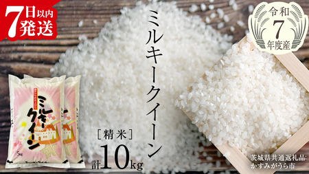 【令和7年産】 ミルキークイーン 精米 10kg（5kg×2袋）（茨城県共通返礼品 かすみがうら市産） [EX015sa]