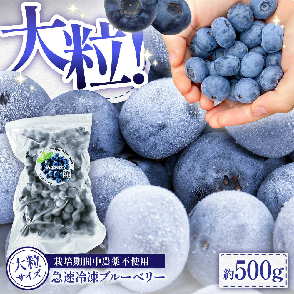 【ふるさと納税】【大粒サイズ】国産 急速冷凍ブルーベリー 500g【アグファーム株式会社】[BHCX001]