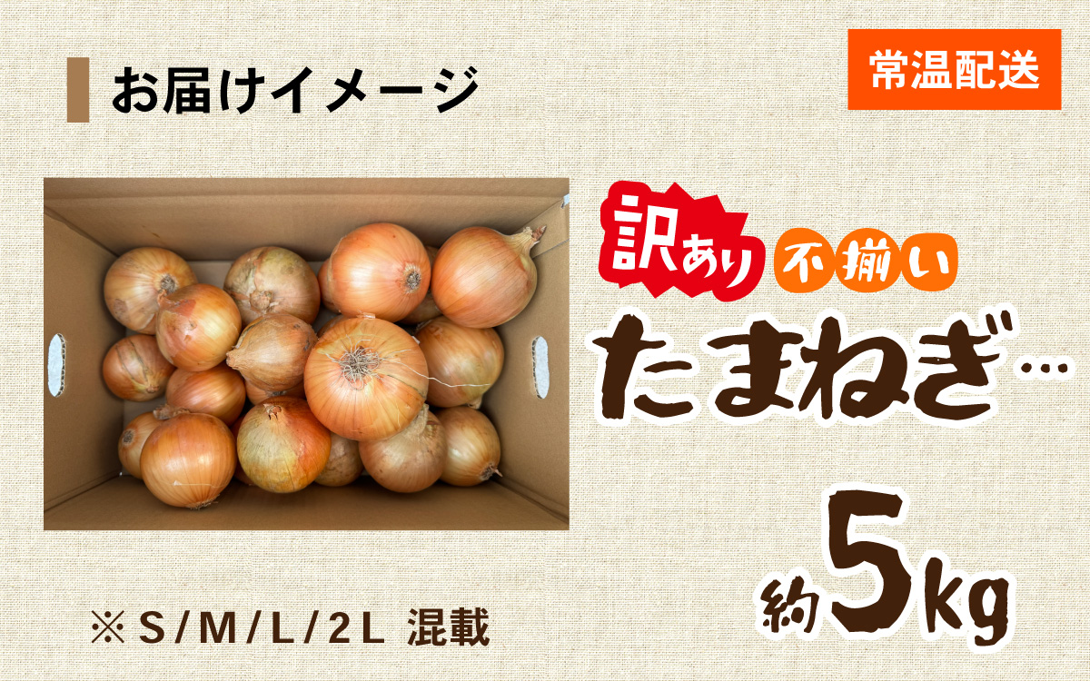 訳あり たまねぎ 5kg 淡路島 フードロス SDGs