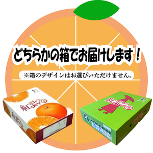 【紅まどんな】化粧箱1箱 3kg 紅まどんな【AB0062】